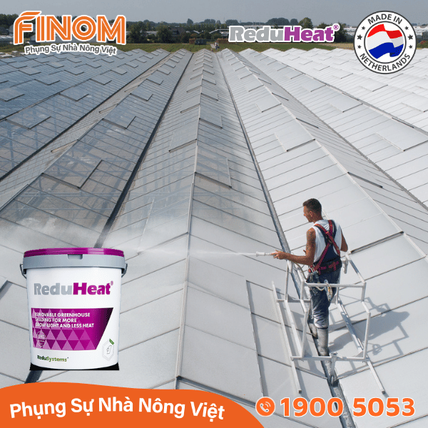 Sơn chống nóng nhà màng không rửa trôi Reduheat