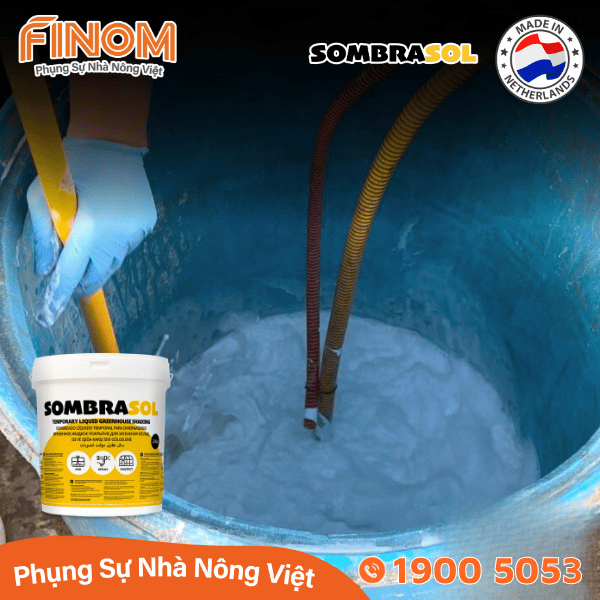 Sơn chống nóng nhà màng Sombrasol