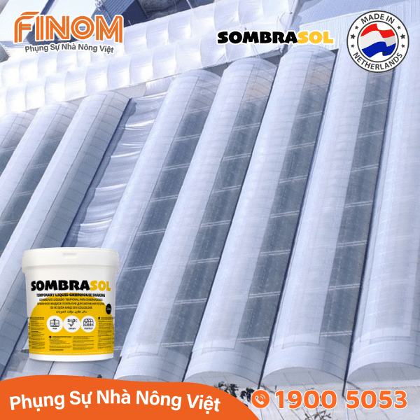 Sơn chống nóng nhà màng Sombrasol