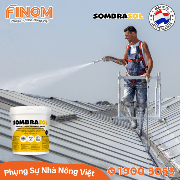 Sơn chống nóng nhà màng Sombrasol