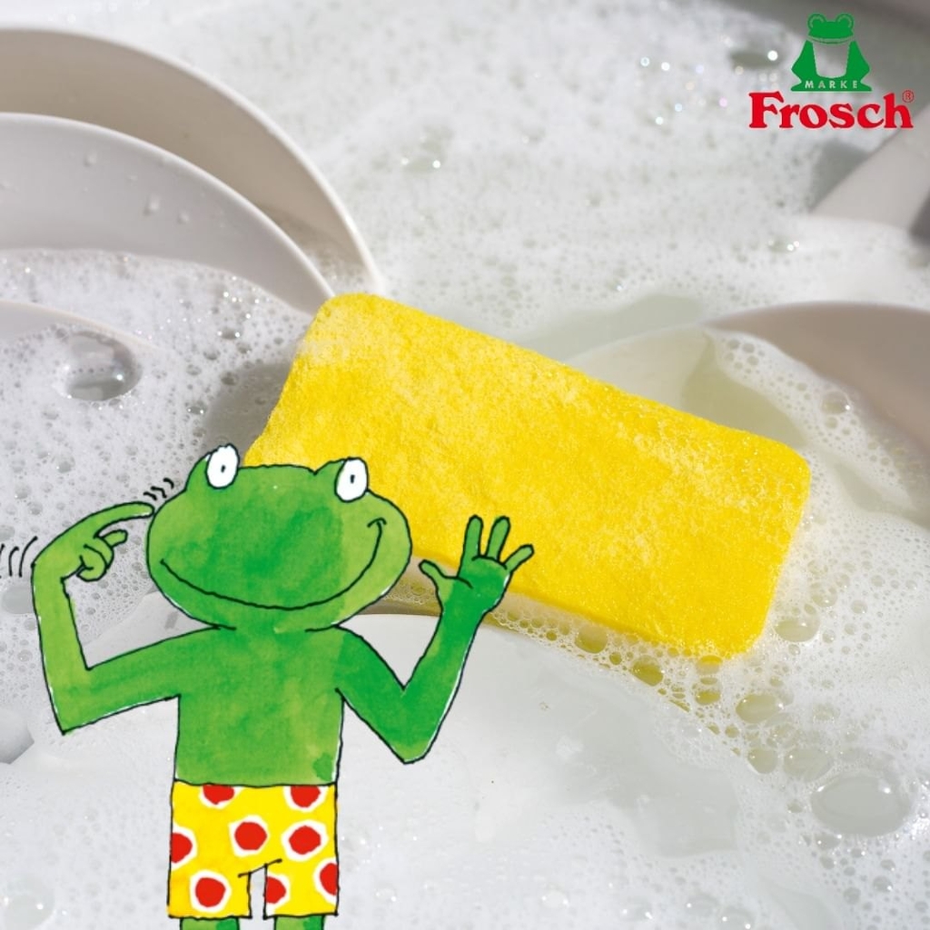 Nước Rửa Chén Hữu Cơ Frosch 500ml (Hương Lô Hội/ Chanh/ Mâm Xôi)
