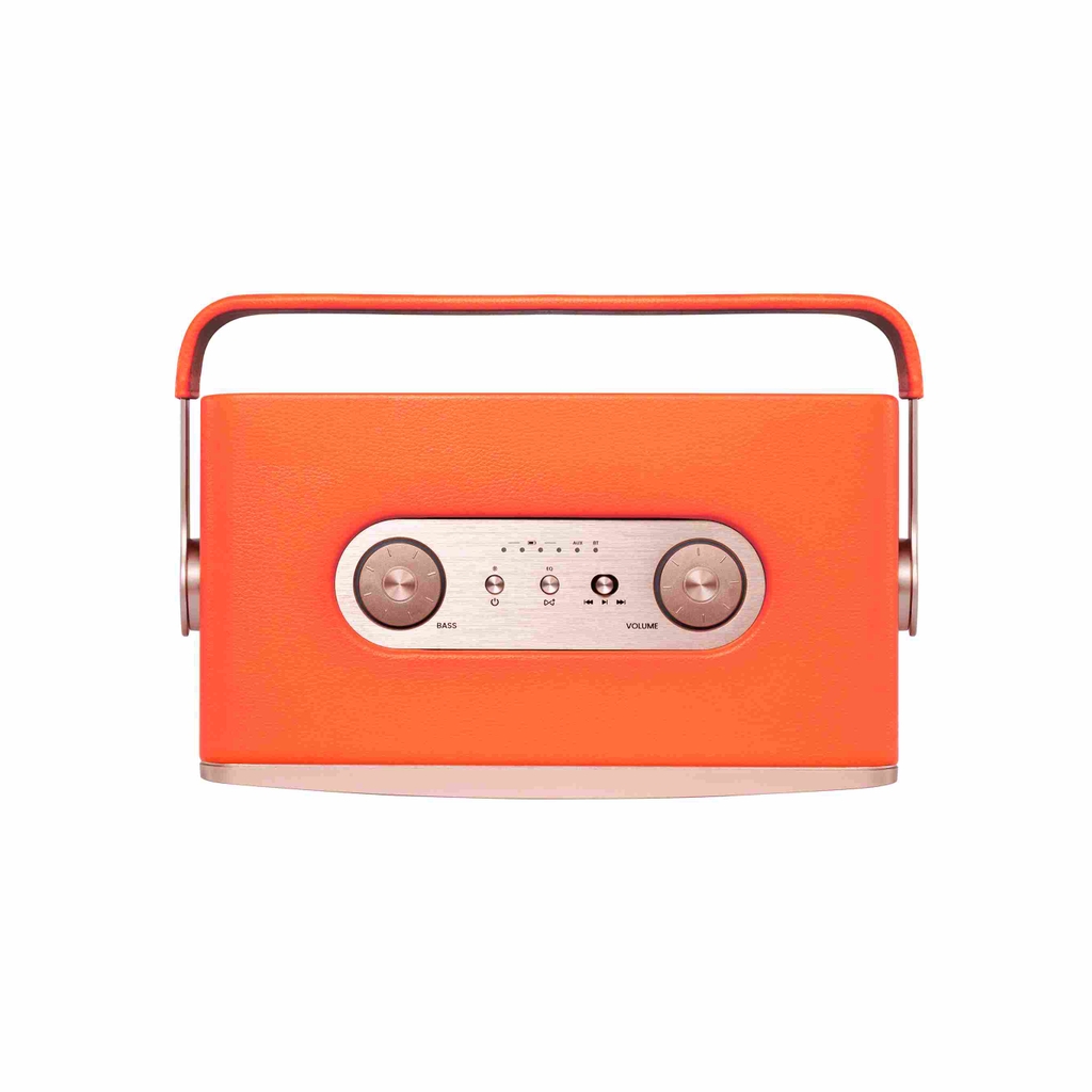 Loa Di Động Retro Alpha Works W90