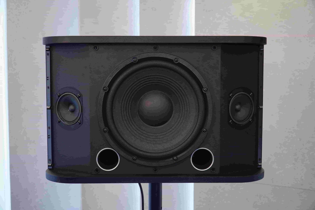 Loa Karaoke Active JBL RM210 - Hàng Chính hãng PGI