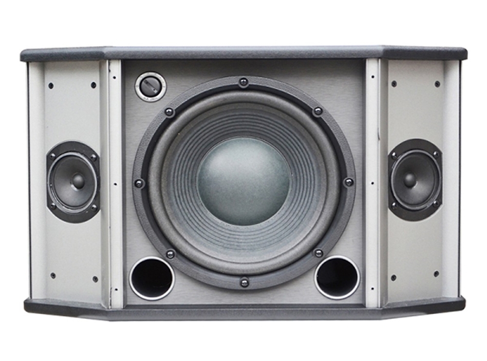 Loa karaoke AUDIOFROG M12F - Hàng Chính hãng PGI