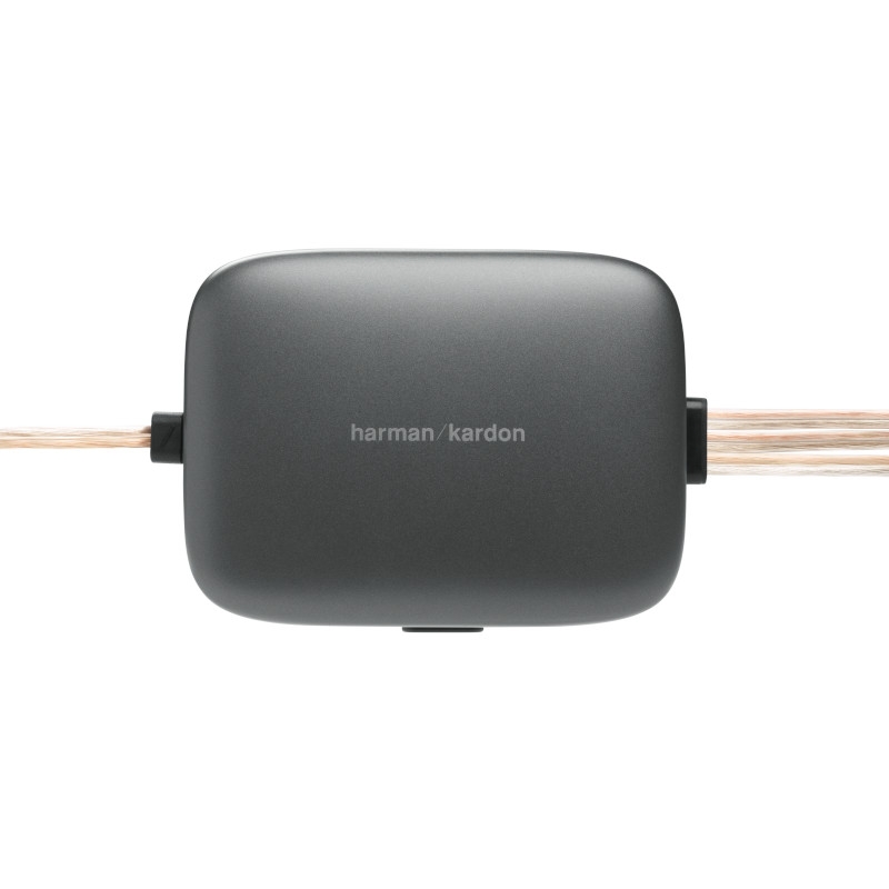 Loa Phân Tần Lắp Trên Xe ô tô Harman/kardon FLOW 600CF - Hàng Chính Hãng PGI