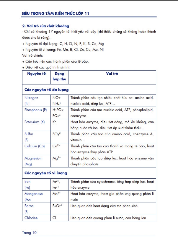 Sách Sinh học Lớp 11 (chương trình mới)- Siêu trọng tâm môn Sinh học dùng cho cả 3 bộ Kết nối, Cánh diều, Chân trời