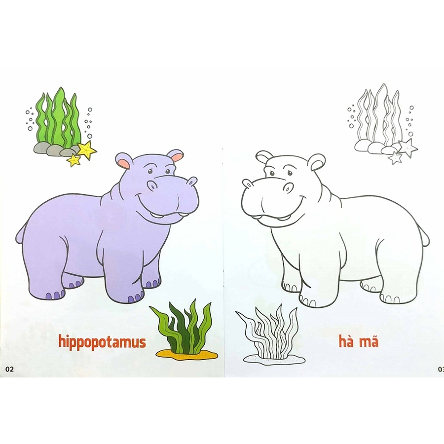 How to draw hippopotamus | Vẽ con hà mã | tô màu con hà mã | dạy màu sắc  cho bé - YouTube