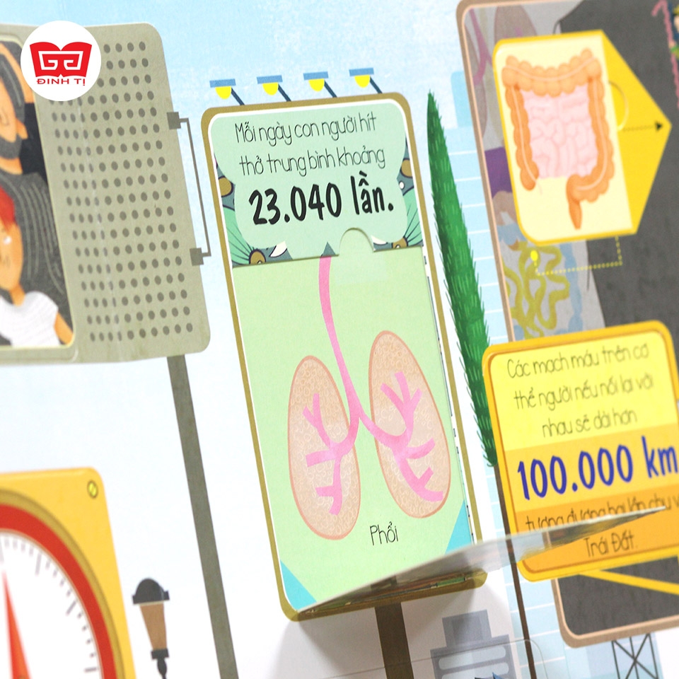 Sách Tương Tác Lật Mở Khám Phá Khổ lớn Lift-The-Flap - Lật mở khám phá - The Human Body - Cơ thể người (Dành cho bé từ 5-12 tuổi) - Đinh Tị Books