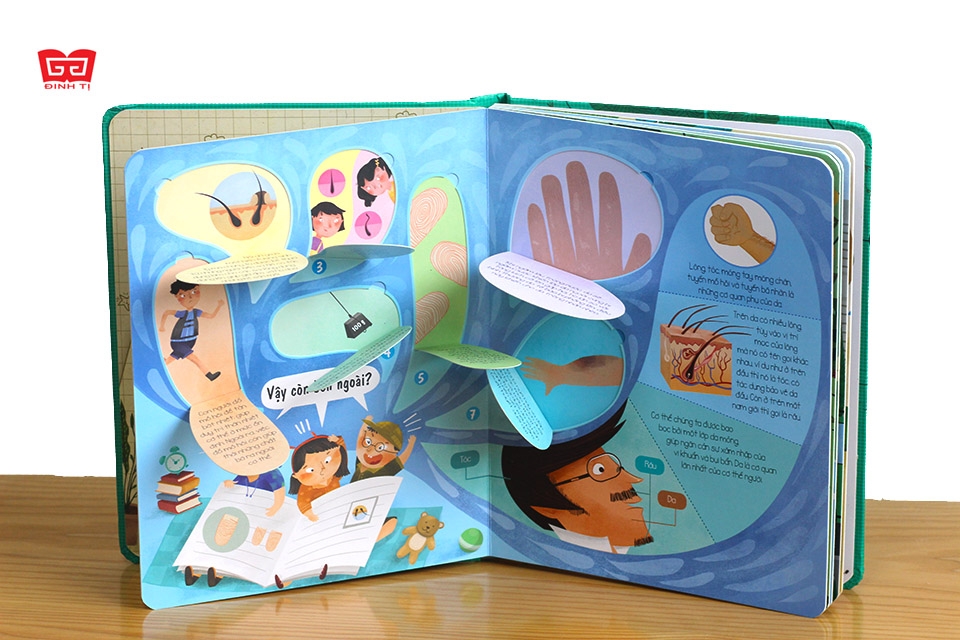 Sách Tương Tác Lật Mở Khám Phá Khổ lớn Lift-The-Flap - Lật mở khám phá - The Human Body - Cơ thể người (Dành cho bé từ 5-12 tuổi) - Đinh Tị Books