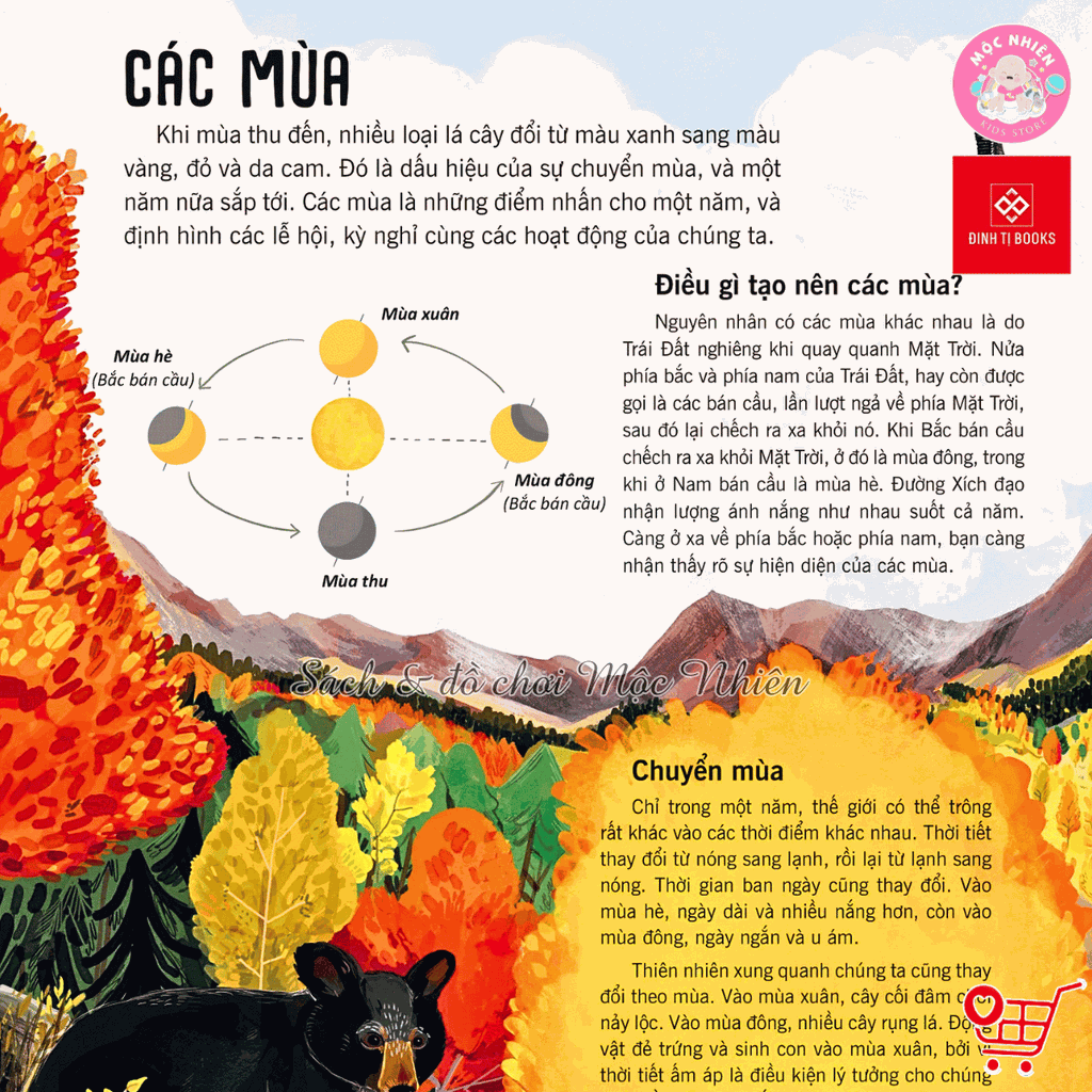 Sách - Vạn vật biến đổi - Bách khoa tri thức cho trẻ từ 6 - 12 tuổi - Đinh Tị Books