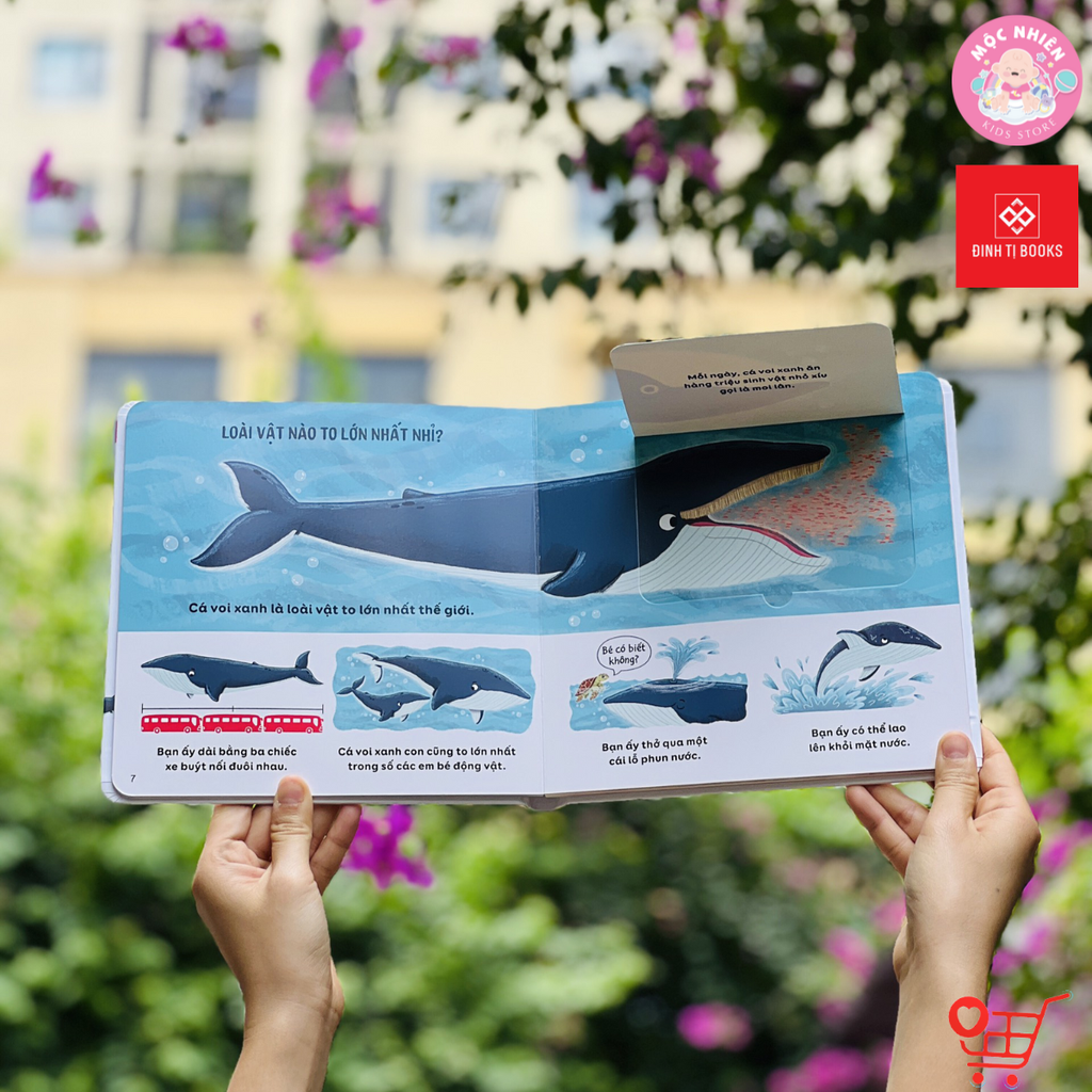 Sách Tương Tác Lật Mở Khám Phá Lift the flap - Thế giới động vật (Cho bé từ 2 - 6 tuổi) – Đinh Tị Books 