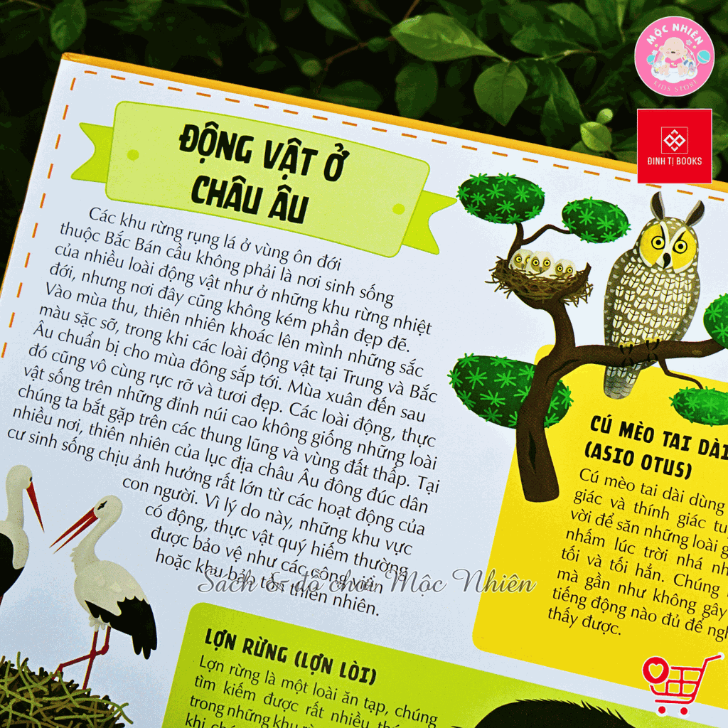 Sách Atlas Động Vật – Khám Phá Thế Giới Động Vật (6 tuổi trở lên) – Đinh Tị Books