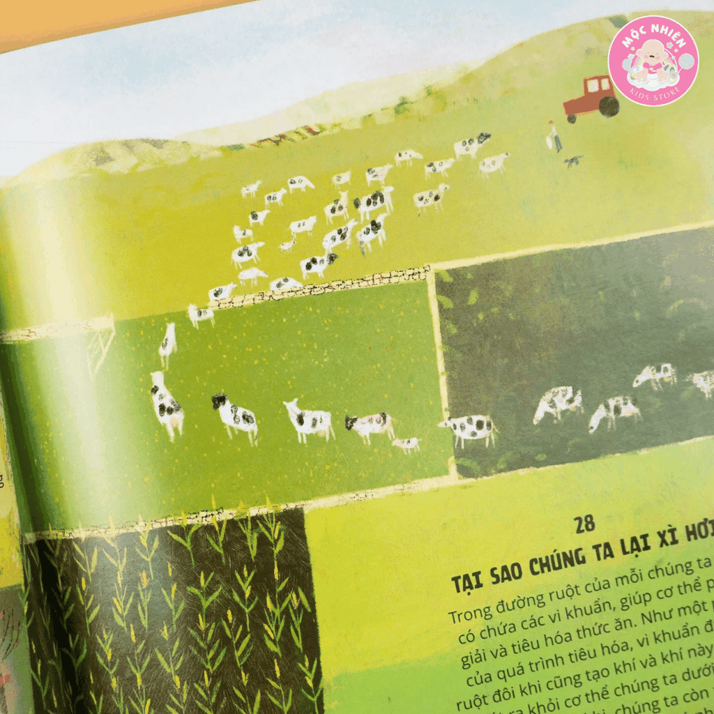 Sách - Everything Under The Sun - 366 câu hỏi lý thú của trẻ từ 6 tuổi - Đinh Tị Books