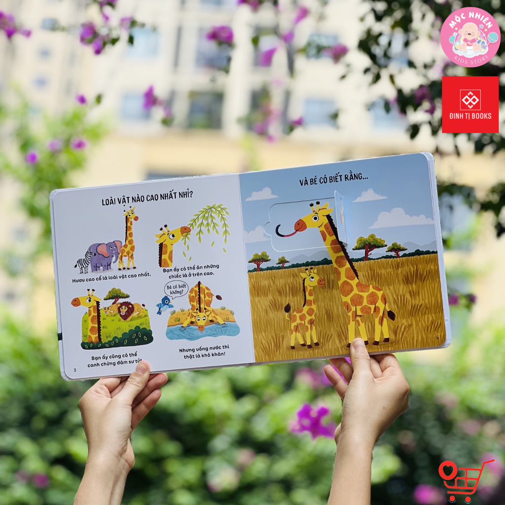 Sách Tương Tác Lật Mở Khám Phá Lift the flap - Cảm xúc này là gì nhỉ (Cho bé từ 2 - 6 tuổi) – Đinh Tị Books 