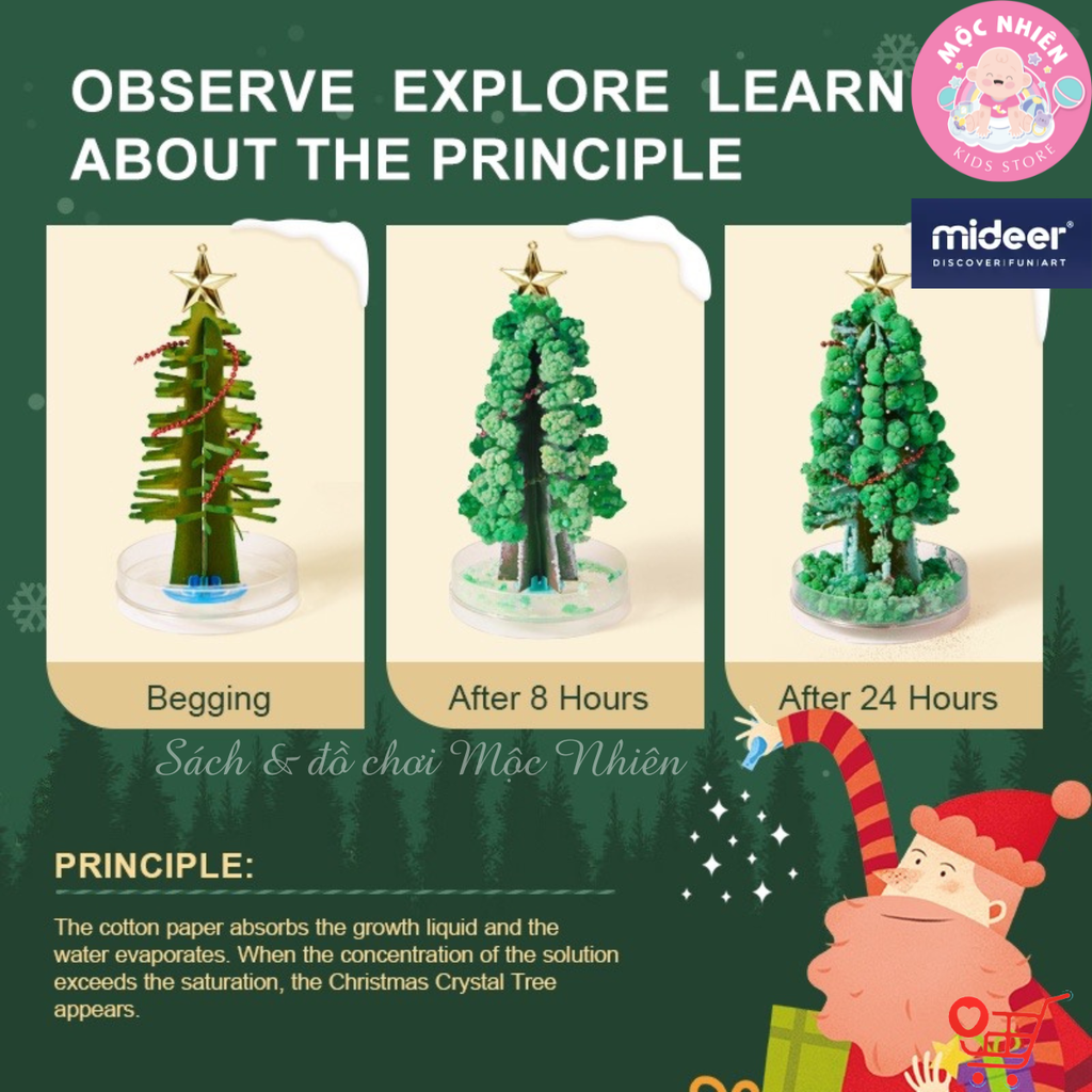 Cây Thông Noel Thần Kỳ Để Bàn Tự Nở Hoa Tuyết - Mideer Magic Christmas Tree - Quà Giáng Sinh Cho Bé Từ 6 Tuổi