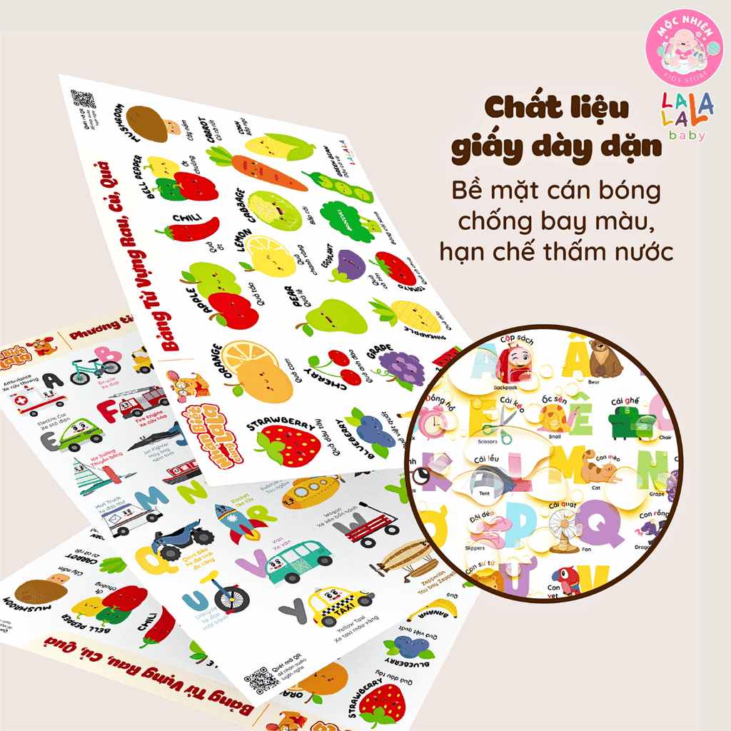 Đồ Chơi Giáo Dục - Poster Dán Tường (Không Keo Dính) Song Ngữ Anh Việt - Bảng Chữ Cái - Chữ Số - Cửu Chương - Động Vật