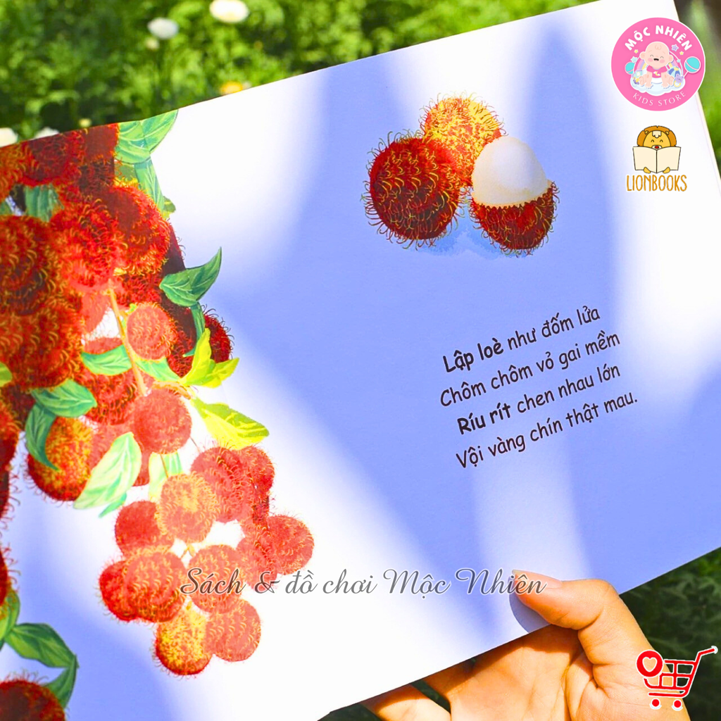 Combo 06 cuốn sách Muôn điều kì diệu (03 phần) - Lionbooks