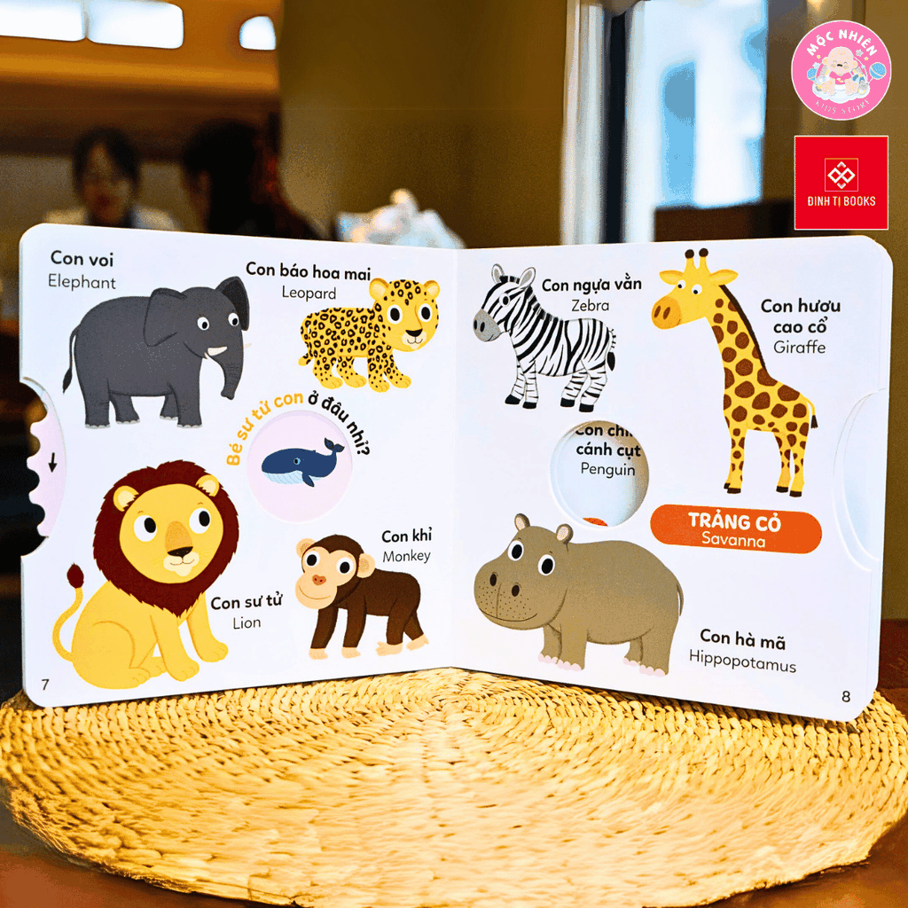 Sách - Xoay xoay xoay - Đi tìm… - Đinh Tị Books