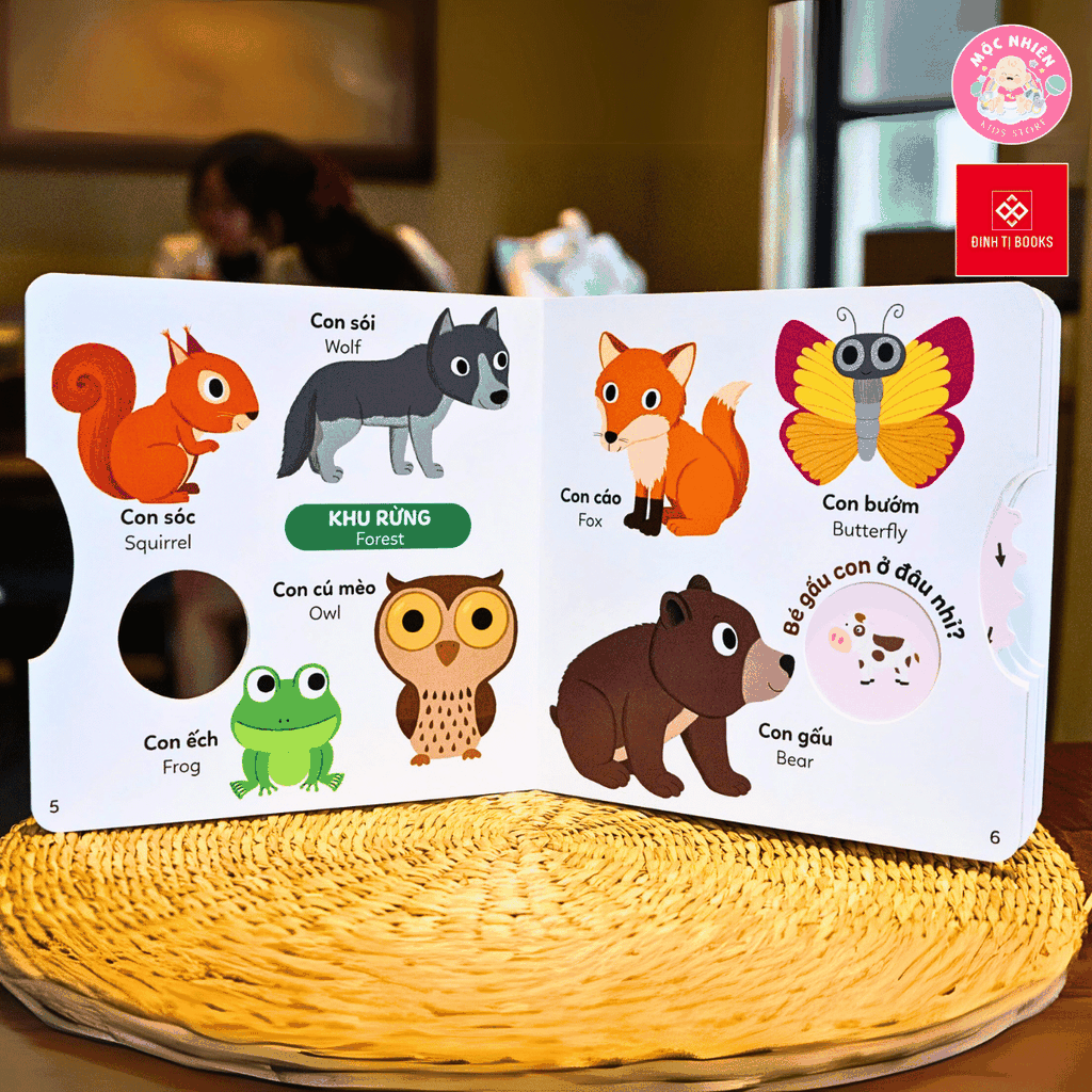 Sách - Xoay xoay xoay - Đi tìm… - Đinh Tị Books