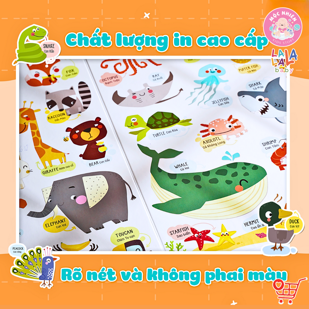 Bảng gấp thông thái - My First Learning chart (Dành cho bé từ 1 tuổi) - Lalala Baby