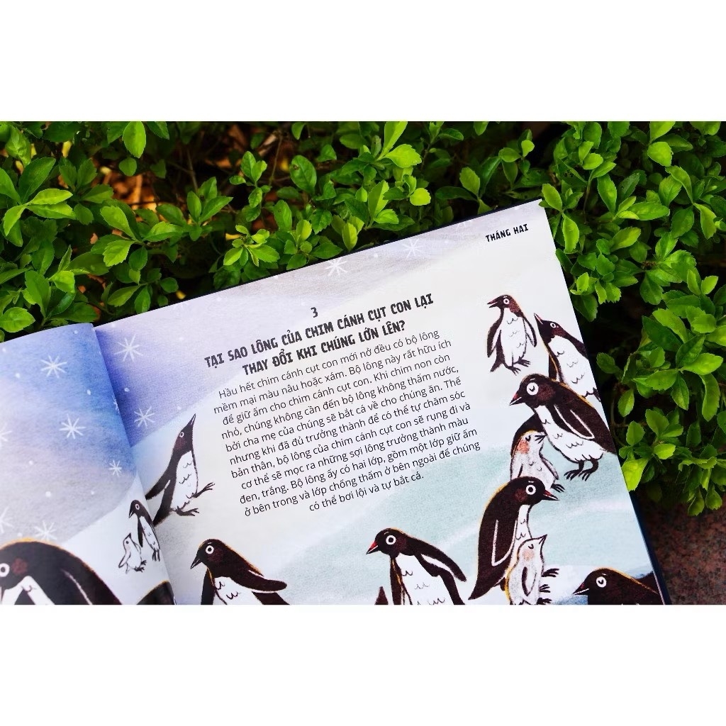 Sách - Everything Under The Sun - 366 câu hỏi lý thú của trẻ từ 6 tuổi - Đinh Tị Books