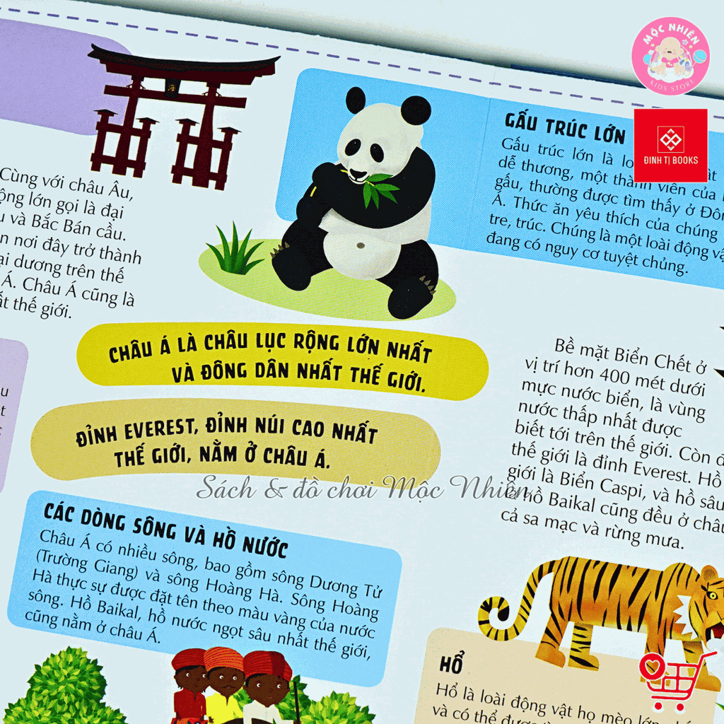 Sách Atlas Thế Giới – Khám Phá Các Châu Lục và Đại Dương – Đinh Tị Books