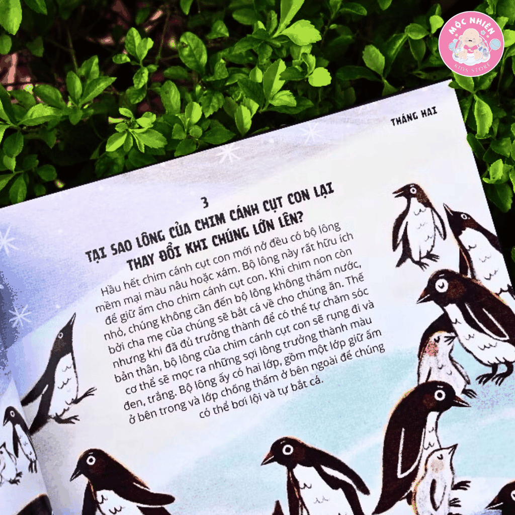 Sách - Everything Under The Sun - 366 câu hỏi lý thú của trẻ từ 6 tuổi - Đinh Tị Books