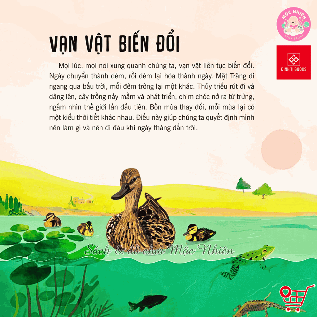 Sách - Vạn vật biến đổi - Bách khoa tri thức cho trẻ từ 6 - 12 tuổi - Đinh Tị Books