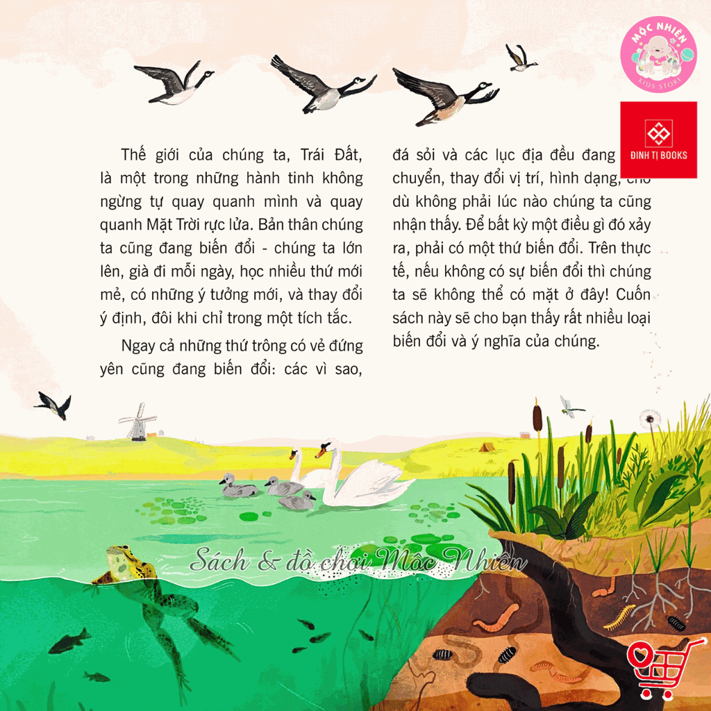 Sách - Vạn vật biến đổi - Bách khoa tri thức cho trẻ từ 6 - 12 tuổi - Đinh Tị Books