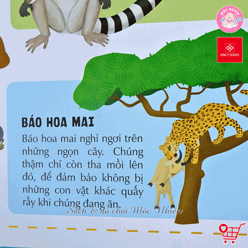 Sách Atlas Động Vật – Khám Phá Thế Giới Động Vật (6 tuổi trở lên) – Đinh Tị Books