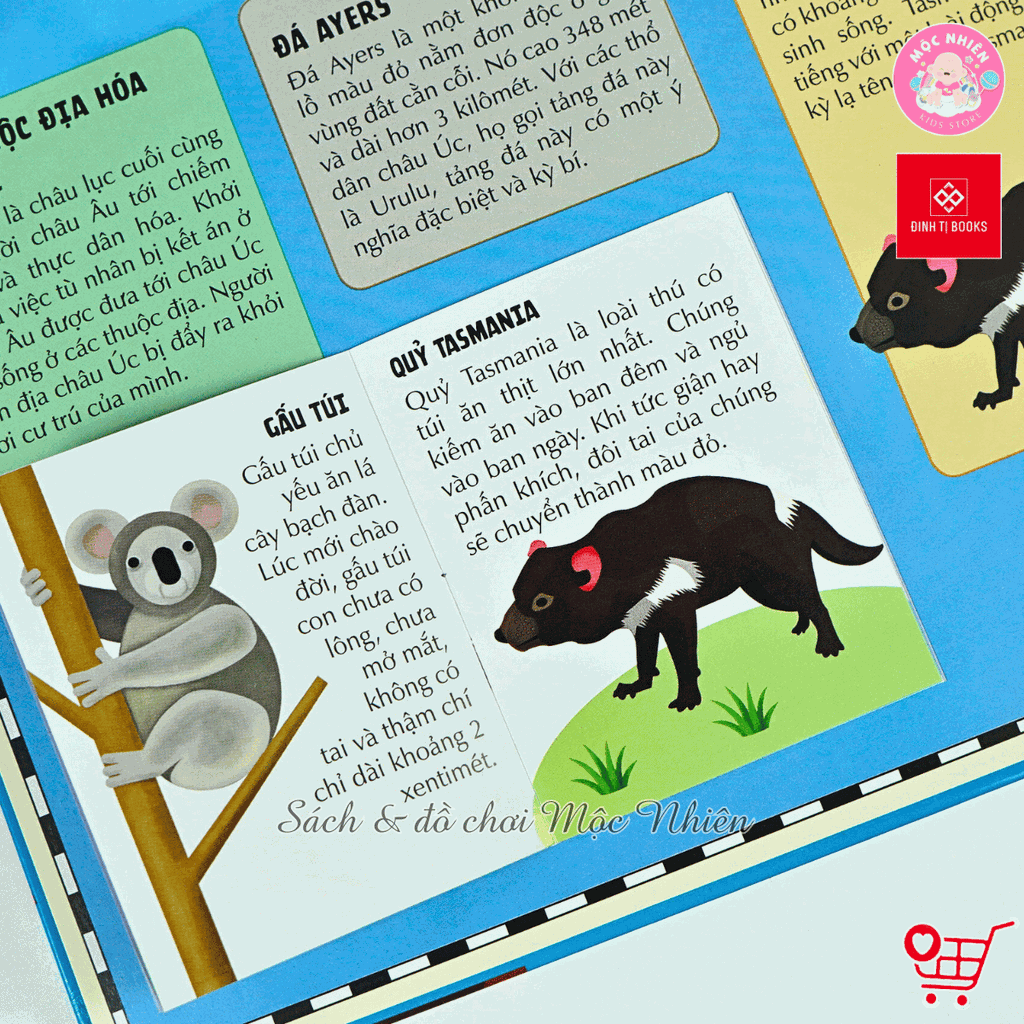 Sách Atlas Thế Giới – Khám Phá Các Châu Lục và Đại Dương – Đinh Tị Books