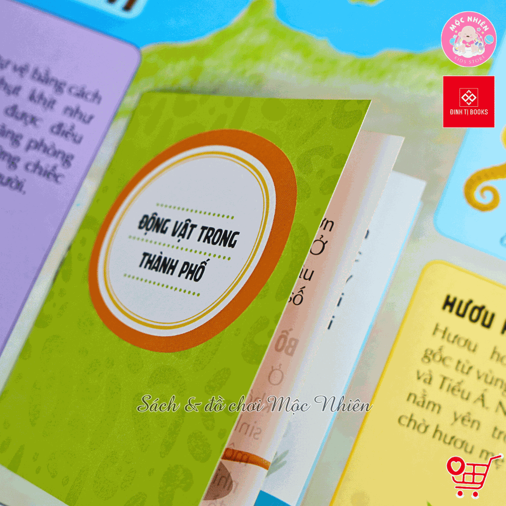 Sách Atlas Động Vật – Khám Phá Thế Giới Động Vật (6 tuổi trở lên) – Đinh Tị Books