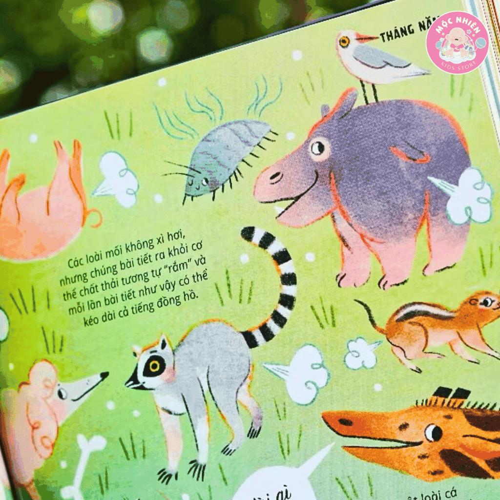 Sách - Everything Under The Sun - 366 câu hỏi lý thú của trẻ từ 6 tuổi - Đinh Tị Books