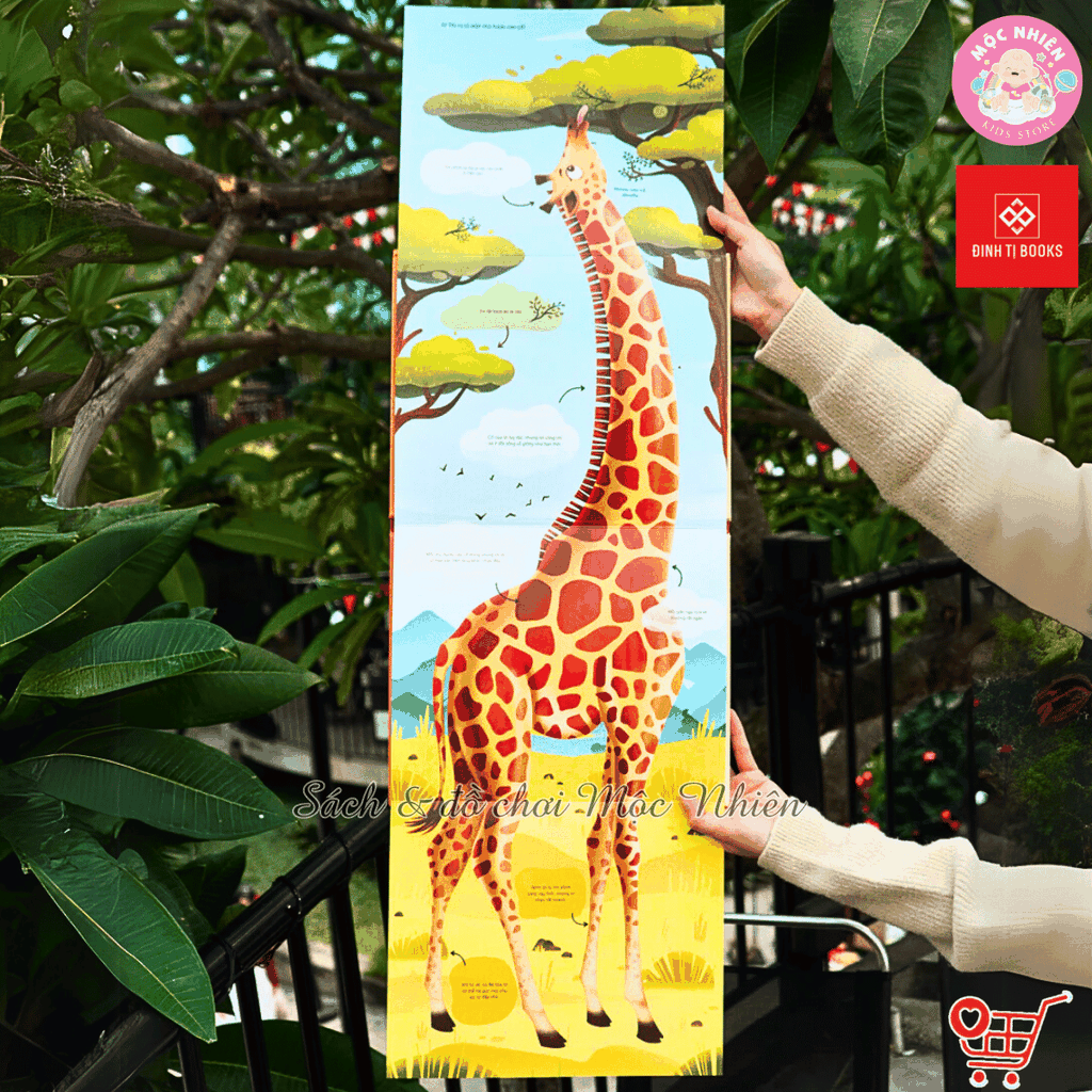 Big Book - Cuốn sách khổng lồ về động vật hoang dã - Đinh Tị Books