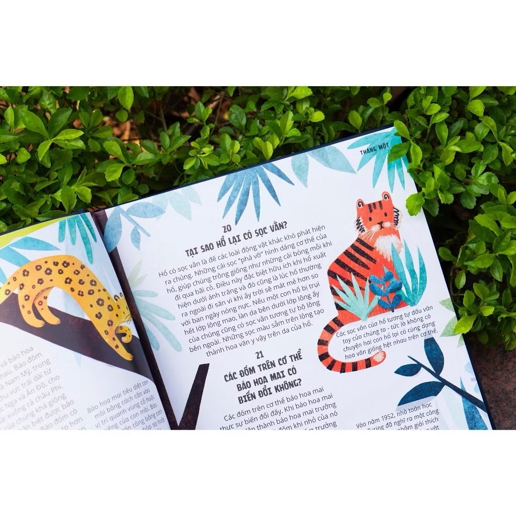 Sách - Everything Under The Sun - 366 câu hỏi lý thú của trẻ từ 6 tuổi - Đinh Tị Books