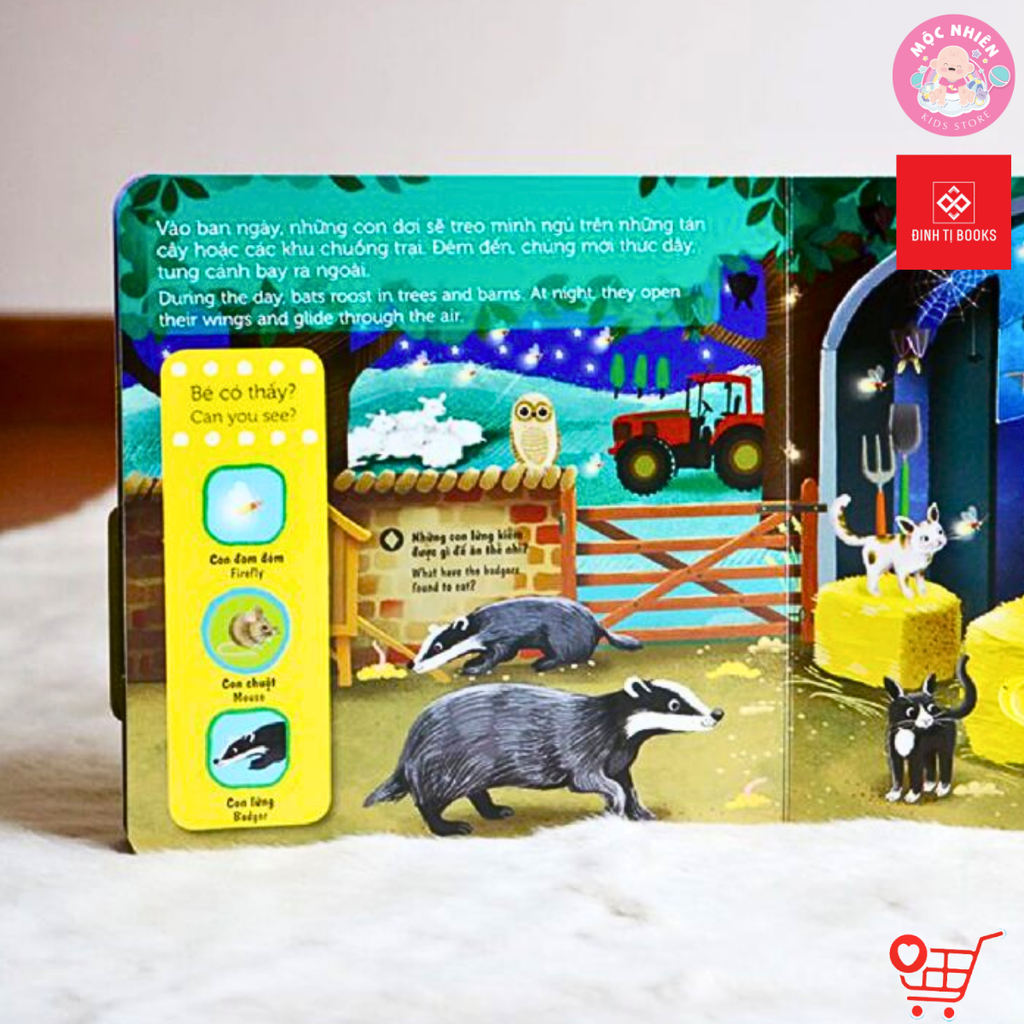 Sách chuyển động First Explorer - Động vật ban đêm - Đinh Tị Books