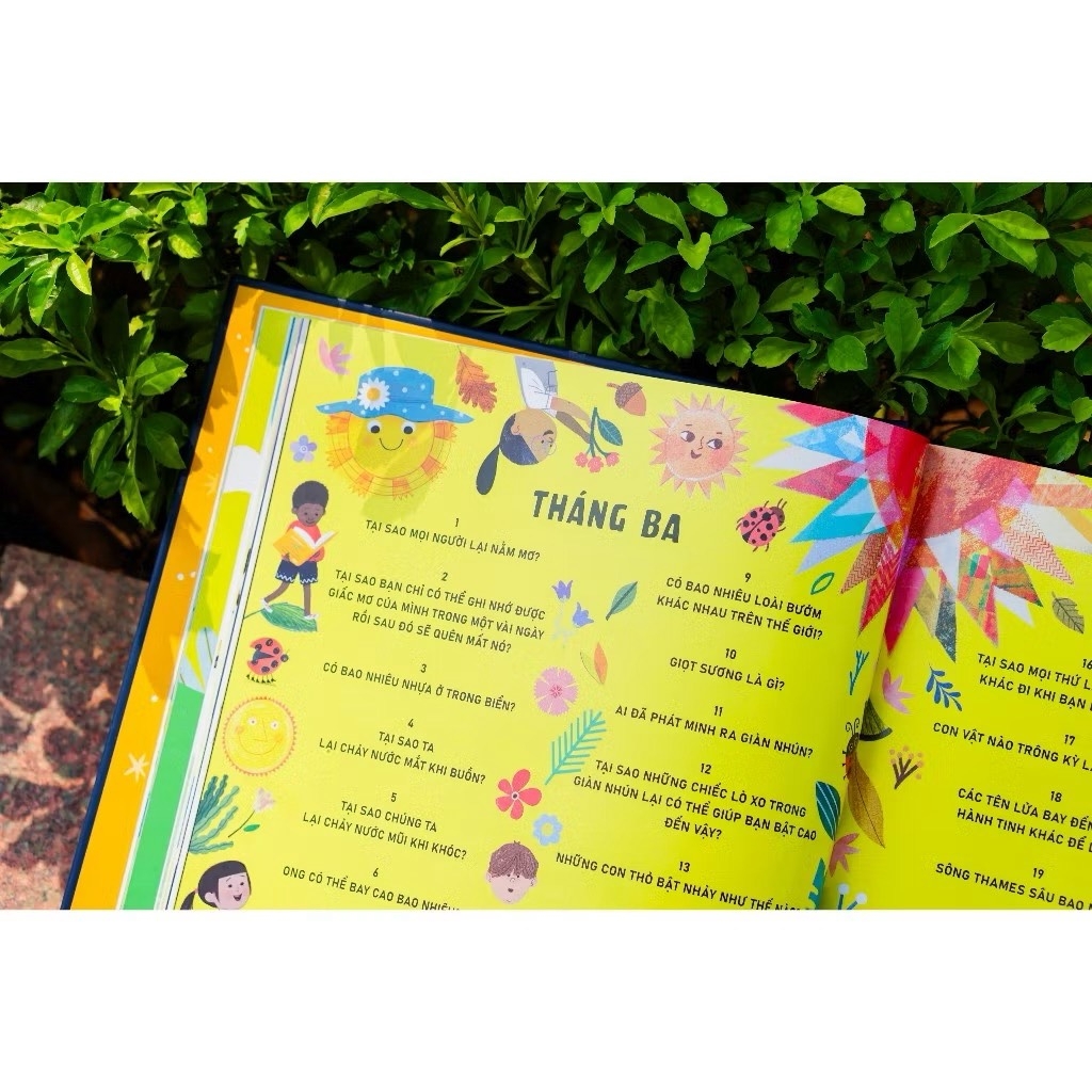 Sách - Everything Under The Sun - 366 câu hỏi lý thú của trẻ từ 6 tuổi - Đinh Tị Books