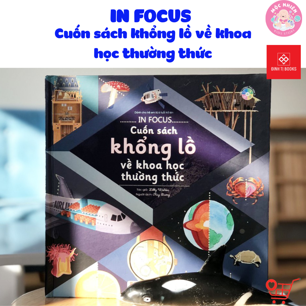 Combo 02 cuốn Khám phá In Focus - Cuốn sách khổng lồ - Đinh Tị Books