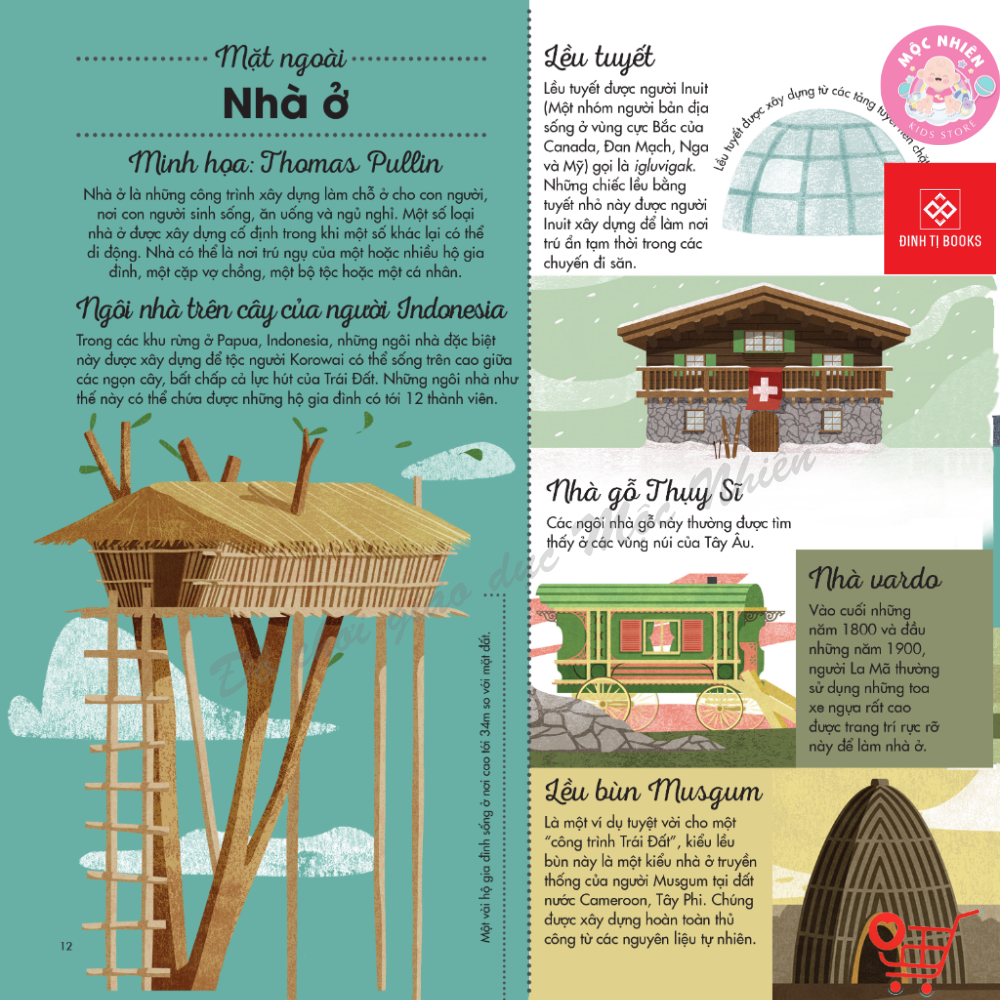 Sách Khám Phá In Focus - Cuốn Sách Khổng Lồ (Dành cho bé từ 6 tuổi) - Đinh Tị Books