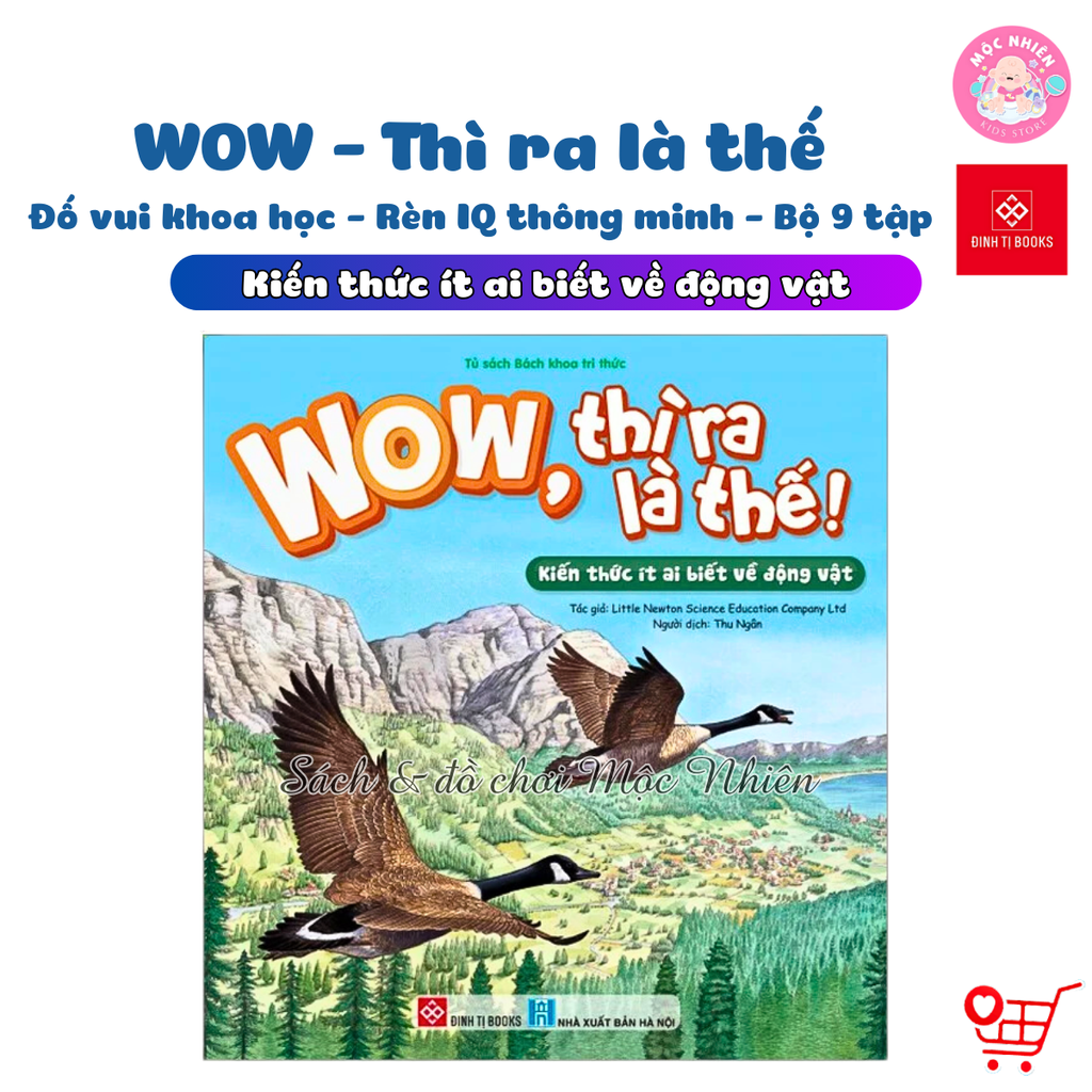 Sách - Wow, thì ra là thế - Đinh Tị Books (Lẻ cuốn)