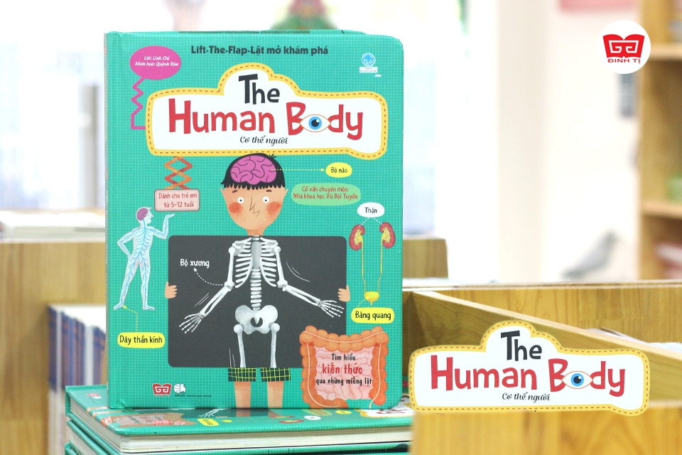 Sách Tương Tác Lật Mở Khám Phá Khổ lớn Lift-The-Flap - Lật mở khám phá - The Human Body - Cơ thể người (Dành cho bé từ 5-12 tuổi) - Đinh Tị Books