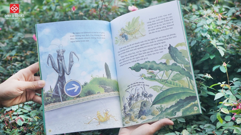 Sách - Truyện tranh khoa học về các loài côn trùng (9 phân loại lẻ cuốn) - Đinh Tị Books