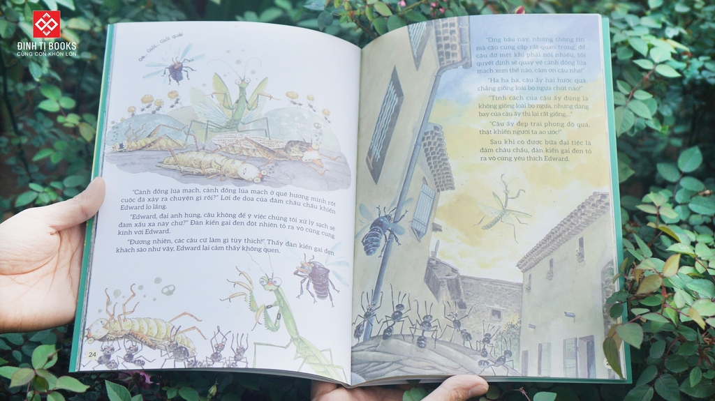 Sách - Truyện tranh khoa học về các loài côn trùng (9 phân loại lẻ cuốn) - Đinh Tị Books