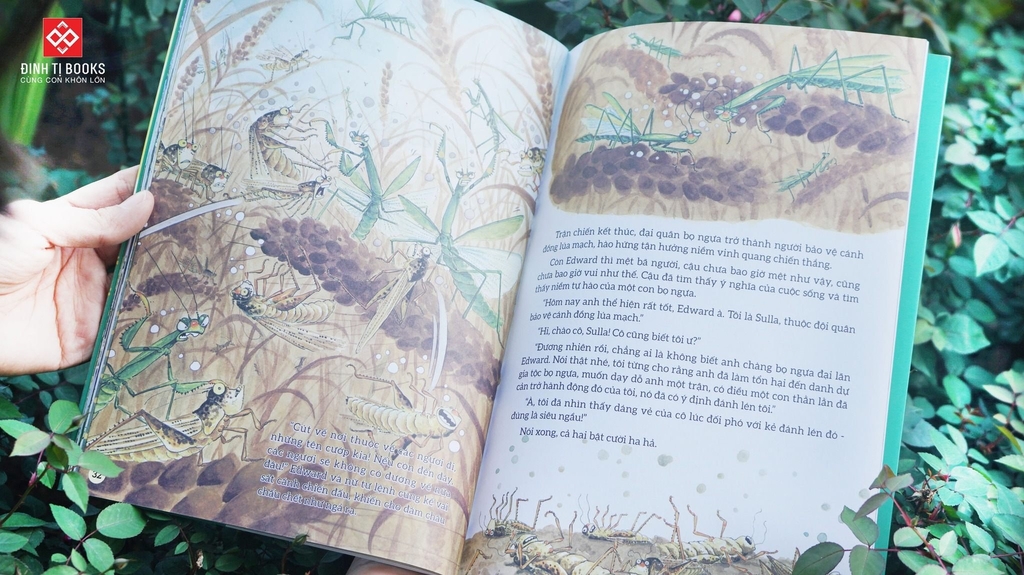 Sách - Truyện tranh khoa học về các loài côn trùng (9 phân loại lẻ cuốn) - Đinh Tị Books