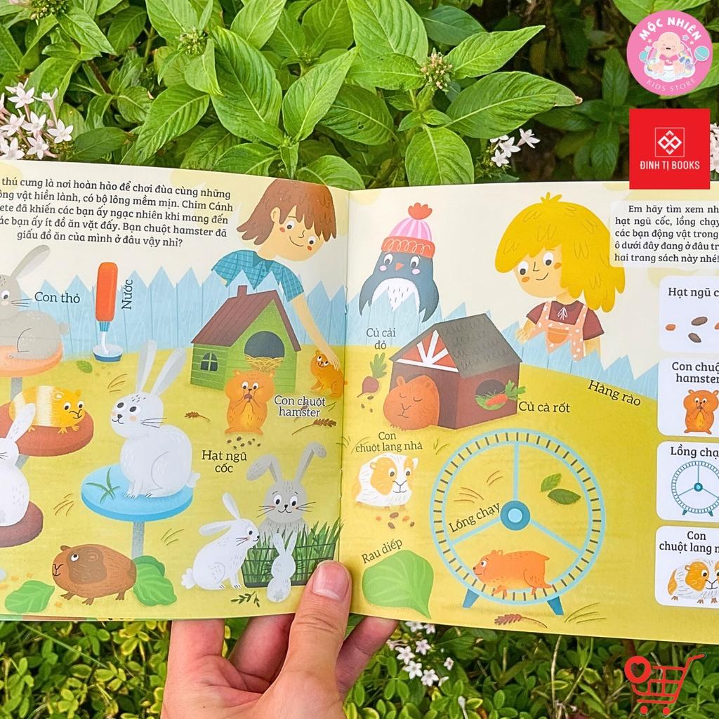 Combo 05 cuốn Sách - Bé rèn trí thông minh qua hoạt động quan sát và tìm kiếm - Đinh Tị Books