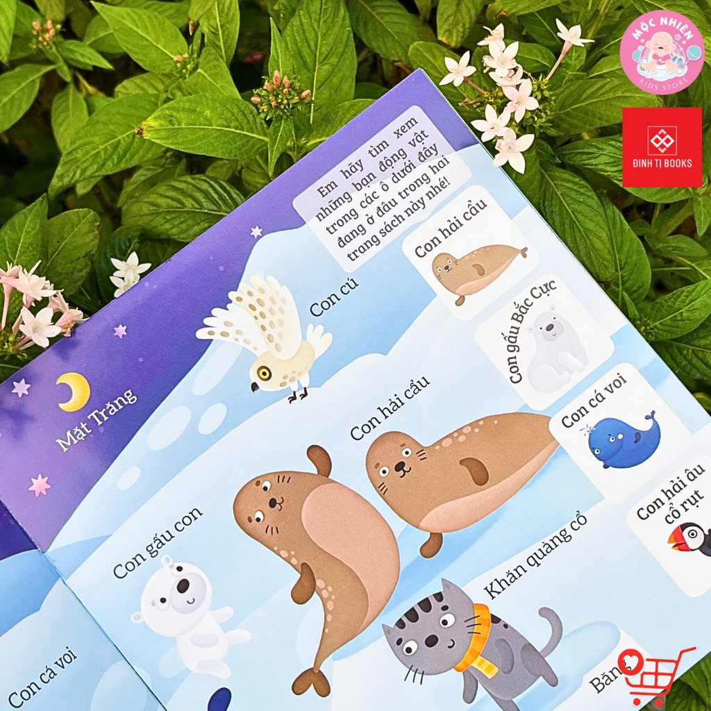 Combo 05 cuốn Sách - Bé rèn trí thông minh qua hoạt động quan sát và tìm kiếm - Đinh Tị Books