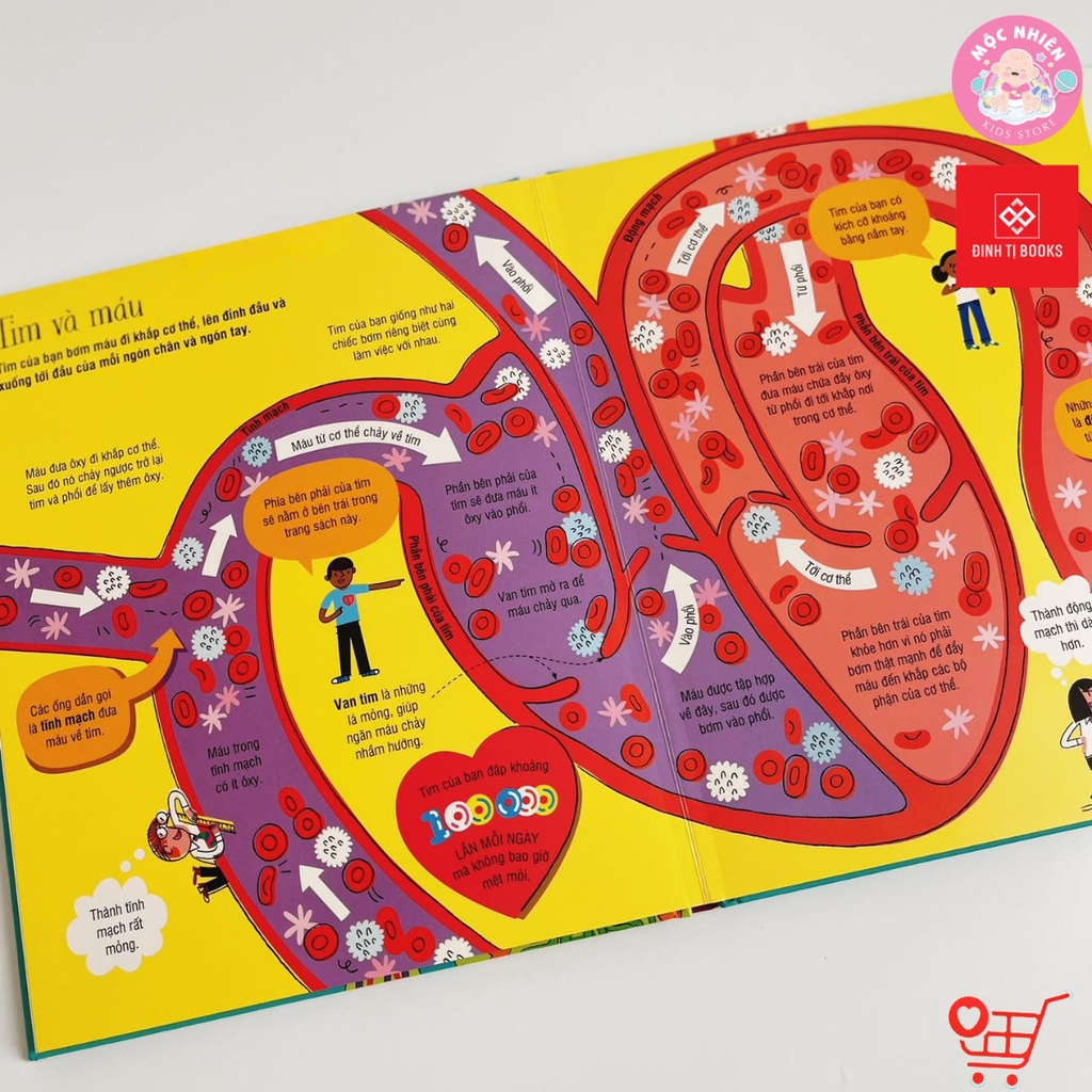 Big Book - Cuốn sách khổng lồ về cơ thể người - Đinh Tị Books