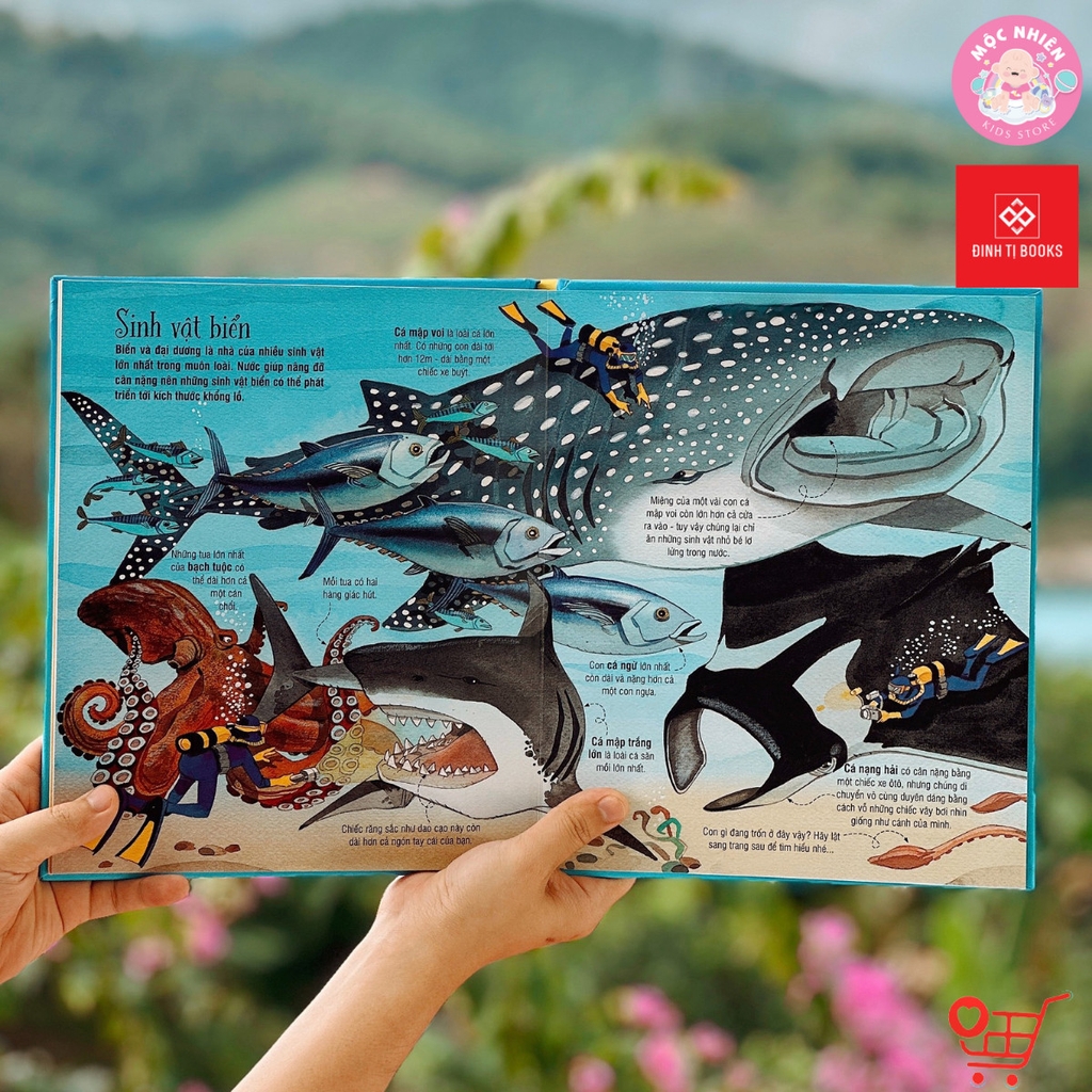 Big Book - Cuốn sách khổng lồ về các loài động vật khổng lồ - Đinh Tị Books