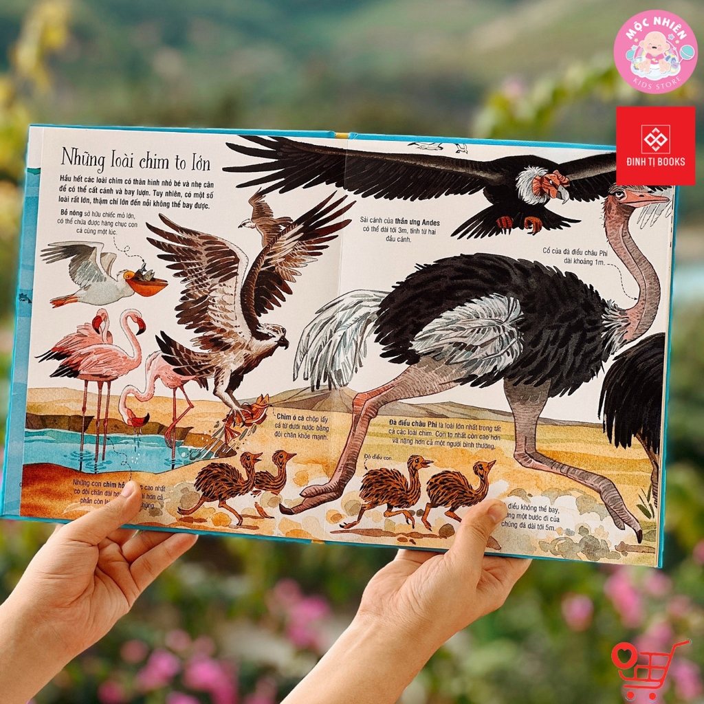 Big Book - Cuốn sách khổng lồ về các loài động vật khổng lồ - Đinh Tị Books