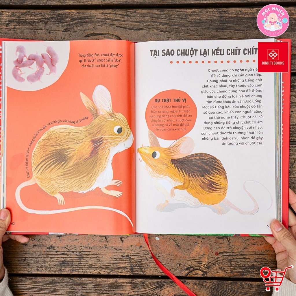 Sách - Bách khoa thư Britannica cho trẻ em (Dành cho độ tuổi 6+) - Đinh Tị Books